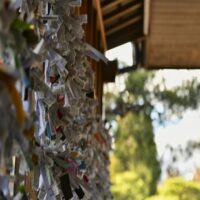 手放すことによって無考に至り、願望を実現することができる