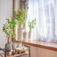 日常生活の全てで瞑想、無考に至ることができ、願望実現に近づく